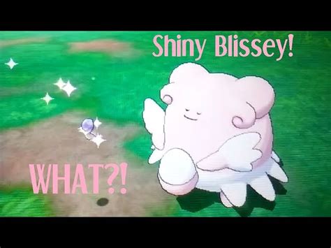 smogon blissey|Done .